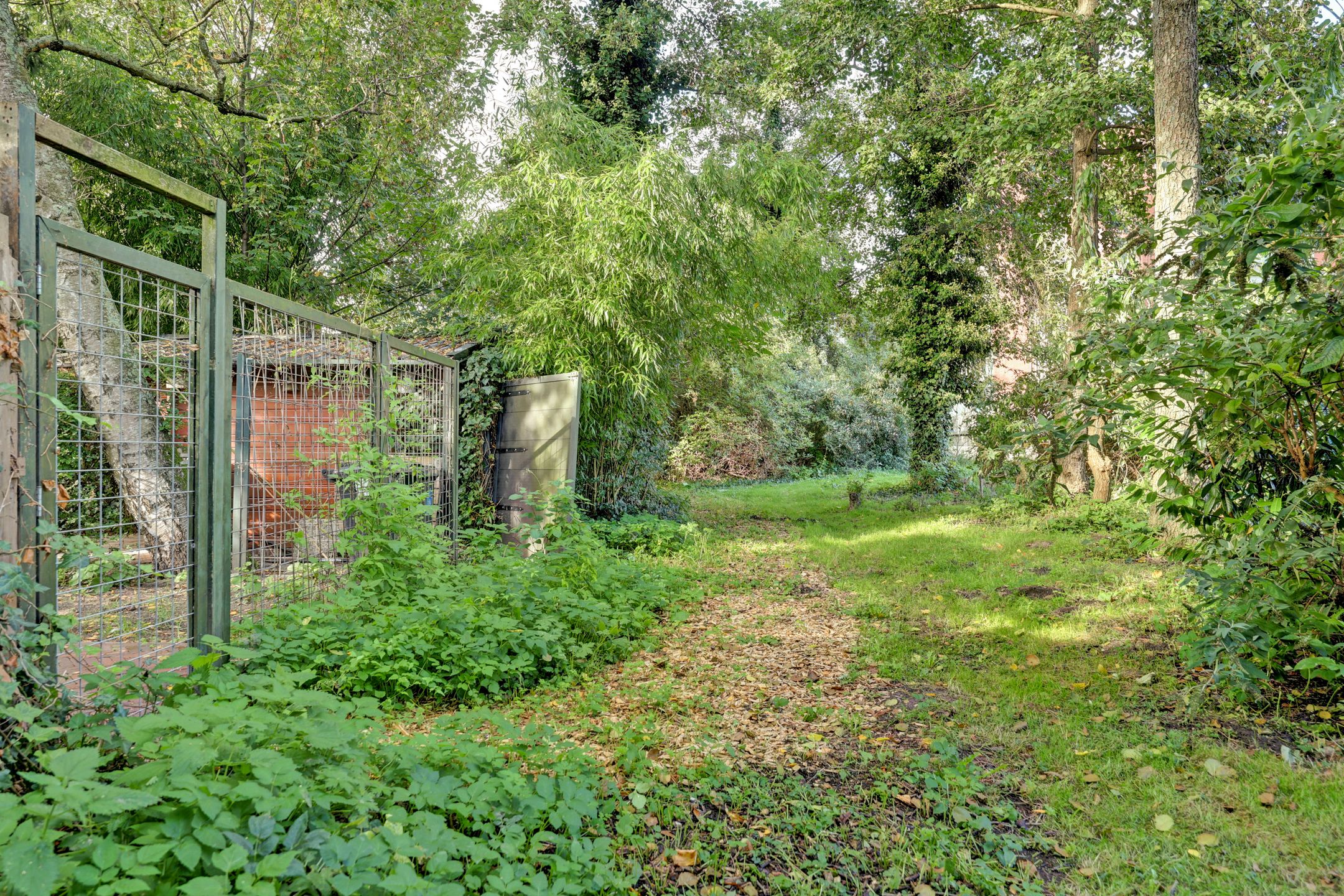 Photo 36 of Hordijk 5