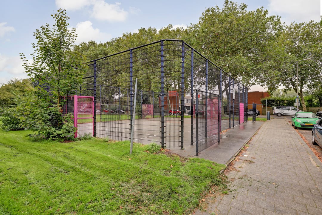 Foto 41 van Hanespoordoorn 36