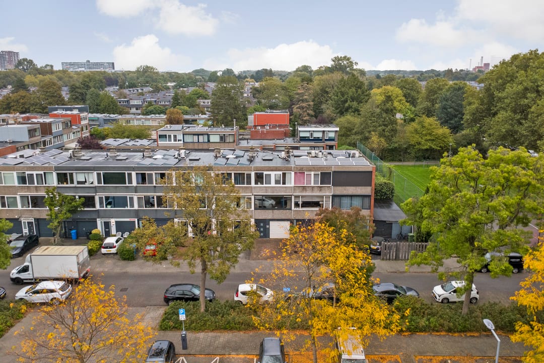 Foto 46 van Hanespoordoorn 36