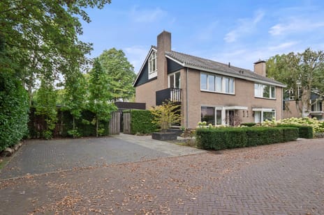 Van den Wijghaertstraat thumbnail