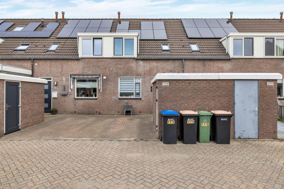 Foto 1 van Wierbalg 1178