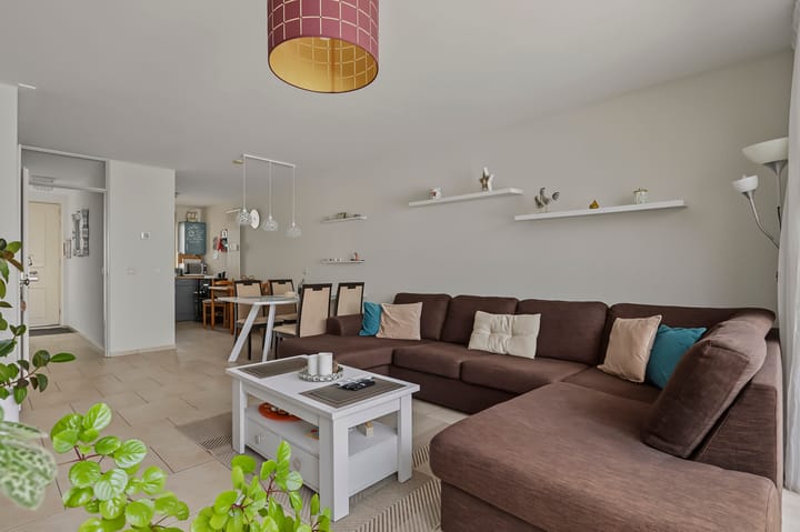 Foto 4 van Zeekoet 19