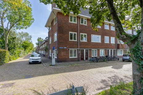 Asselijnstraat thumbnail