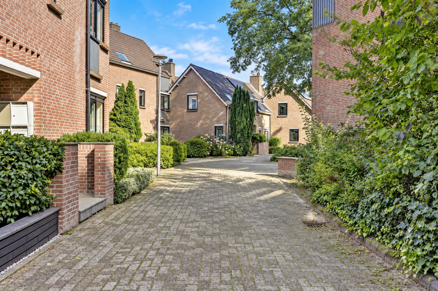 Photo 33 of Haagwinde 12
