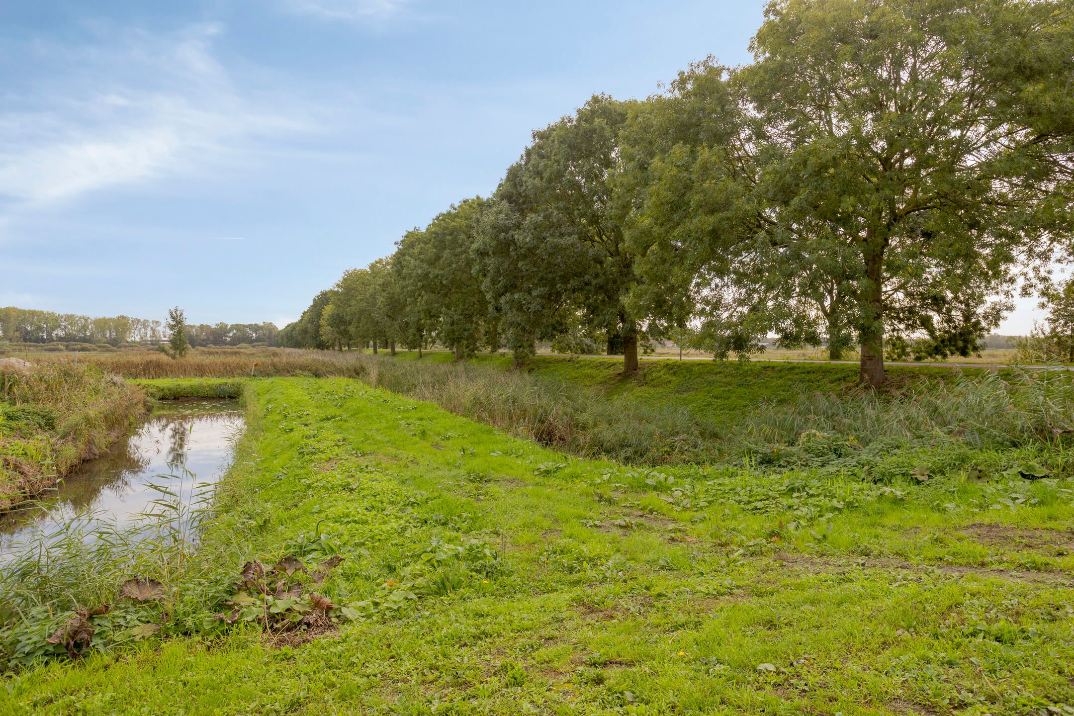Photo 33 of Vier Heultjes 508