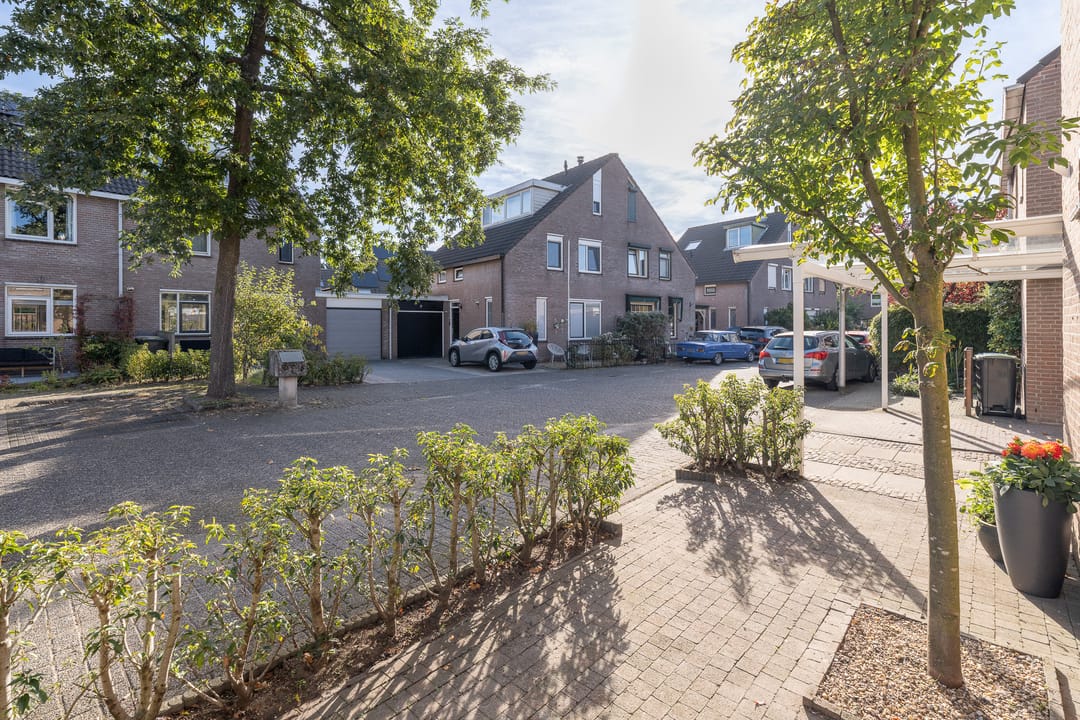 Foto 46 van De Drie Morgen 24