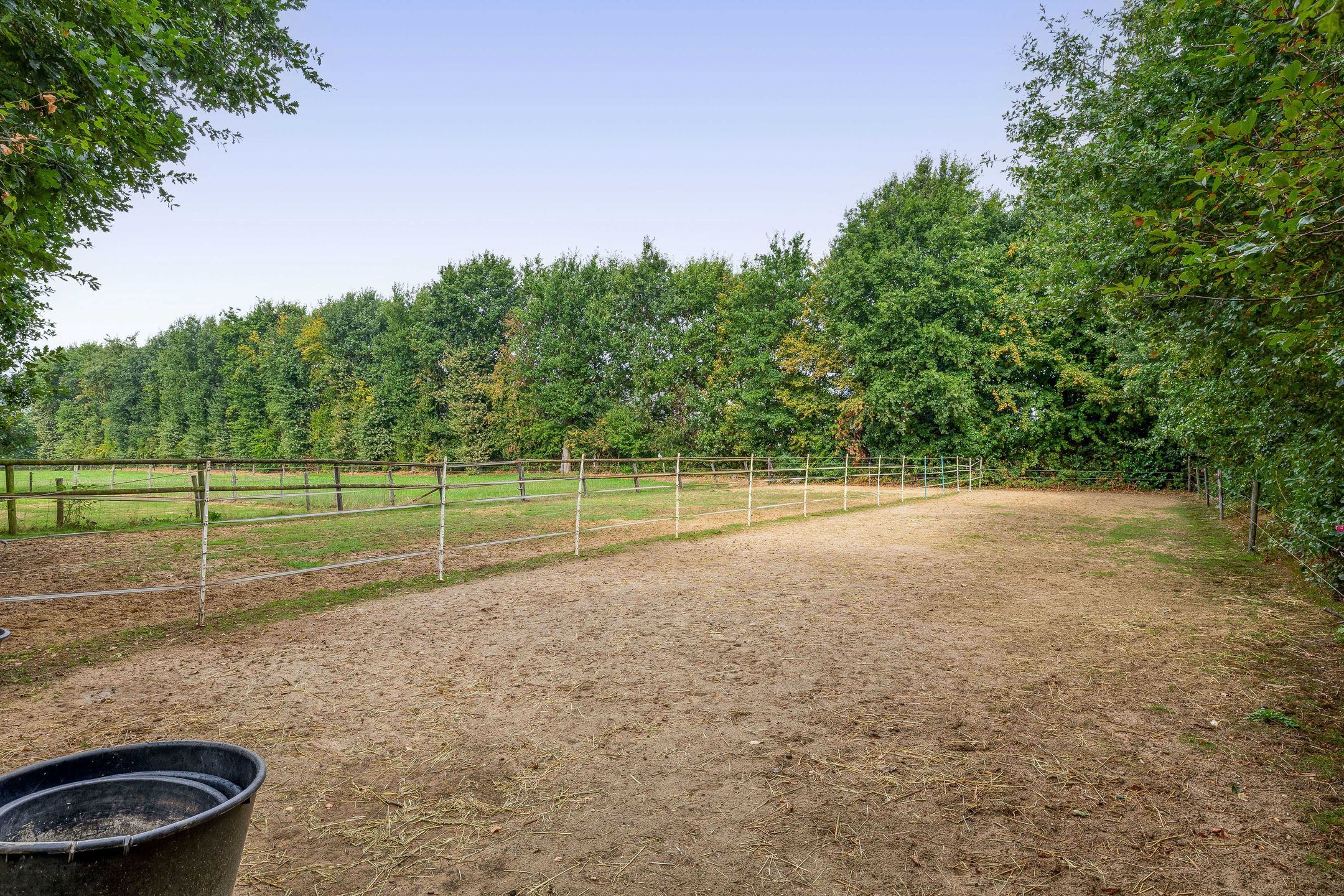 Photo 21 of Hout 3