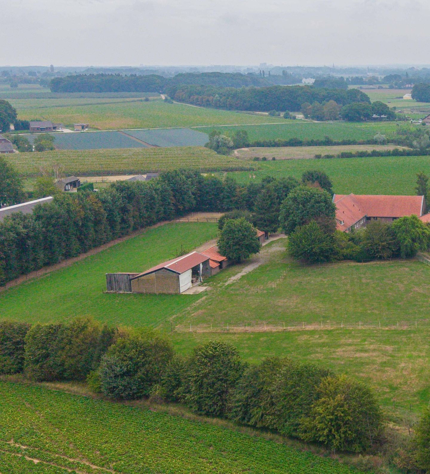 Photo 20 of Hout 3-A