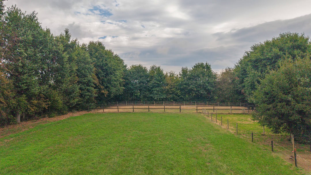 Photo 23 of Hout 3