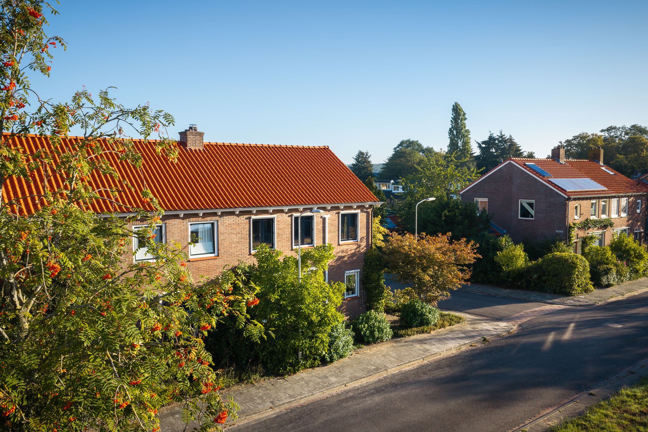 Lijsterbeslaan 7 