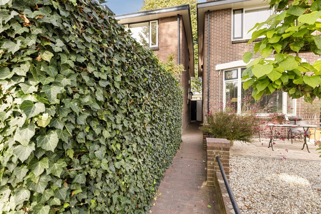 Foto 41 van Zuidzijde 21