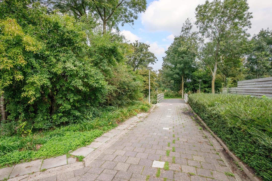 Foto 43 van Narcisveld 45