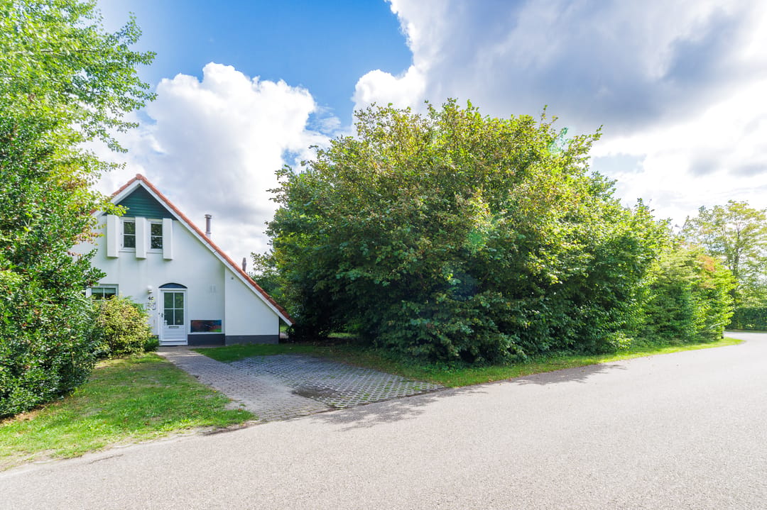 Photo 53 of De Rug 3-45