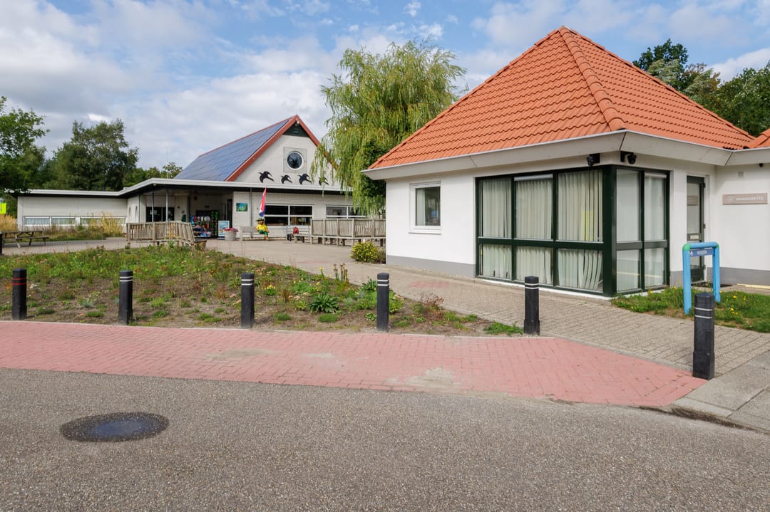 Photo 58 of De Rug 3-45