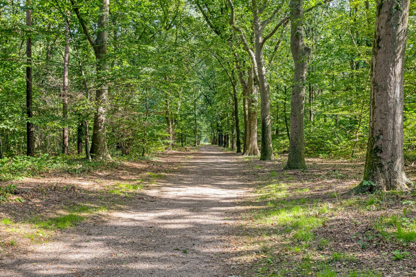 Foto 44 van Heyendaalseweg 204