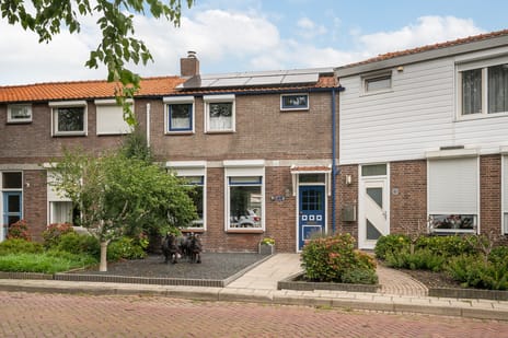 Oostsingel thumbnail