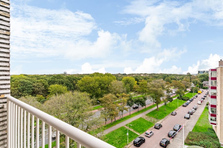 Appartement te koop: Van Alkemadelaan 1106, 'S-Gravenhage
