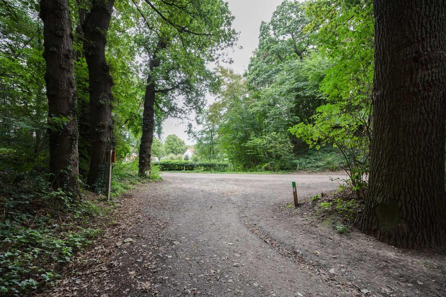 Foto 49 van Rijksstraatweg 293