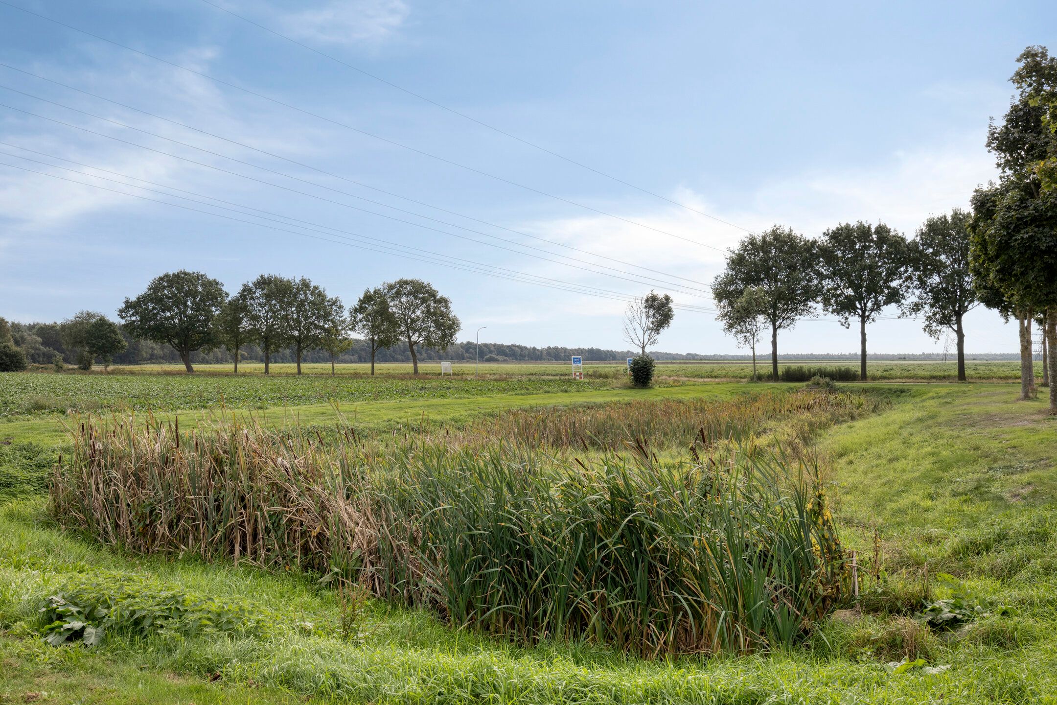 Foto 42 van Dagpauwoog 31