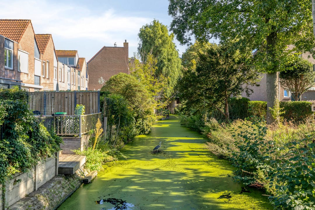 Photo 38 of Duke Ellingtonstraat 64