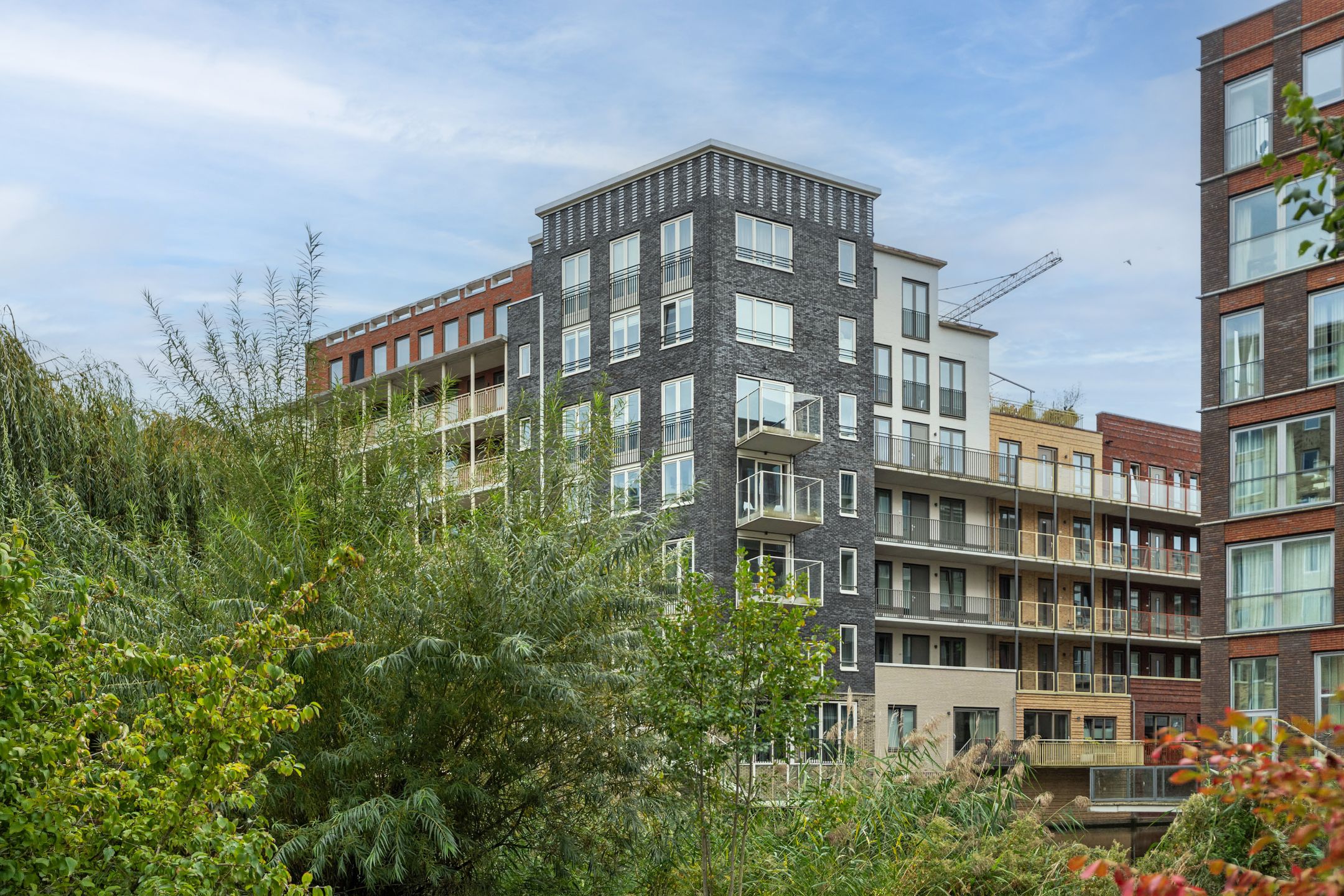 Photo 6 of Carel Willinkgracht 821