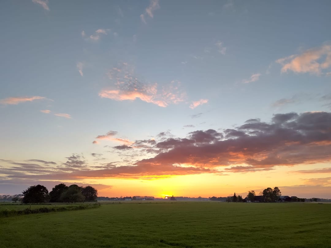 Foto 7 van Bandijk 69