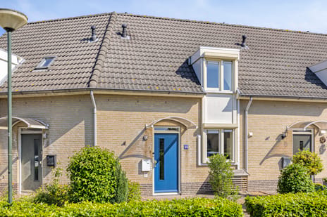 Rozelaar thumbnail