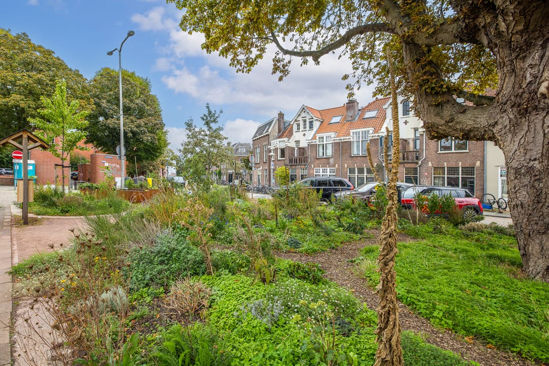 Foto 38 van P.C. Hooftstraat 8-BS