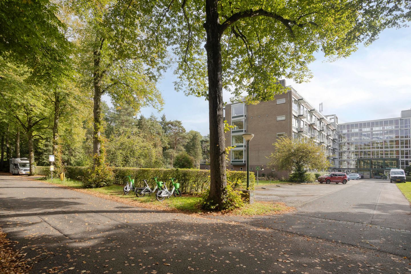 Foto 19 van De Hooghlaan 2-B31