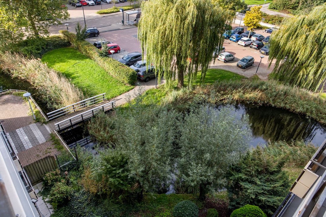 Photo 16 of Papiermolen 132