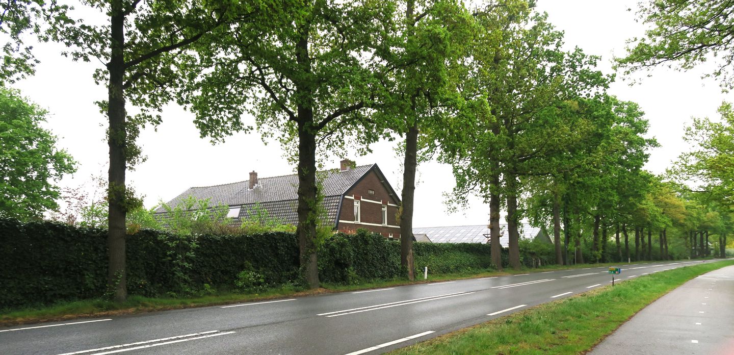Bekijk foto 2 van Meent 13