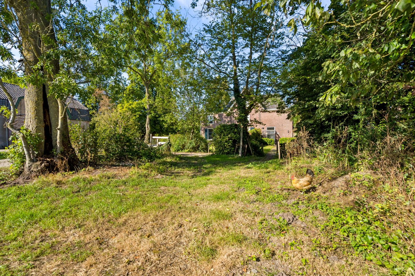 Photo 40 of Langbroekerdijk A 137