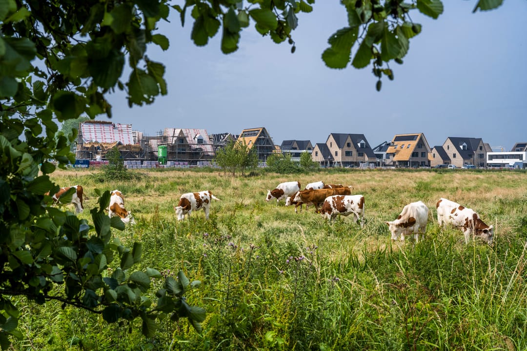 Photo 11 of Vechtstroomlaan 121