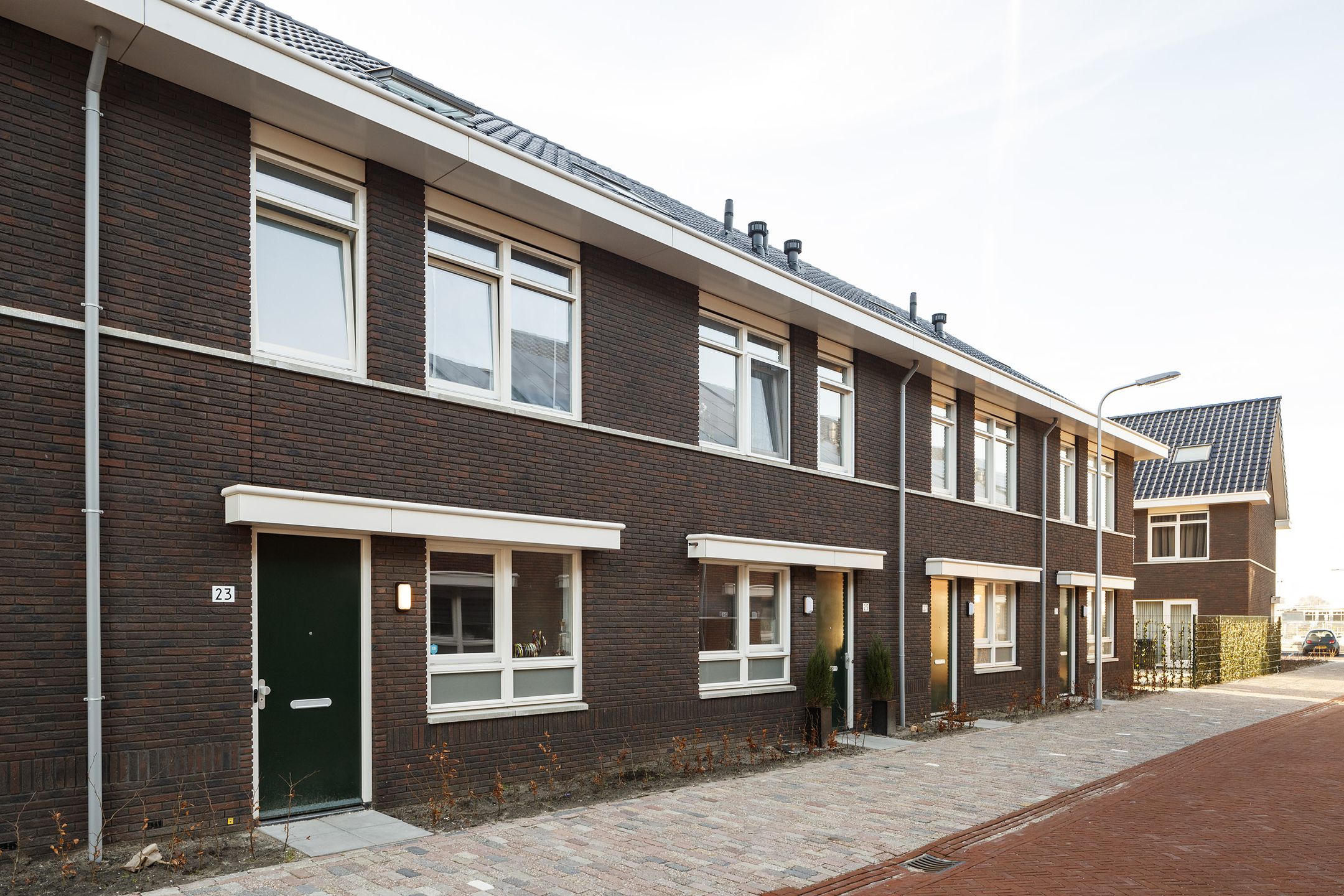 Photo 12 of Grote vos 13