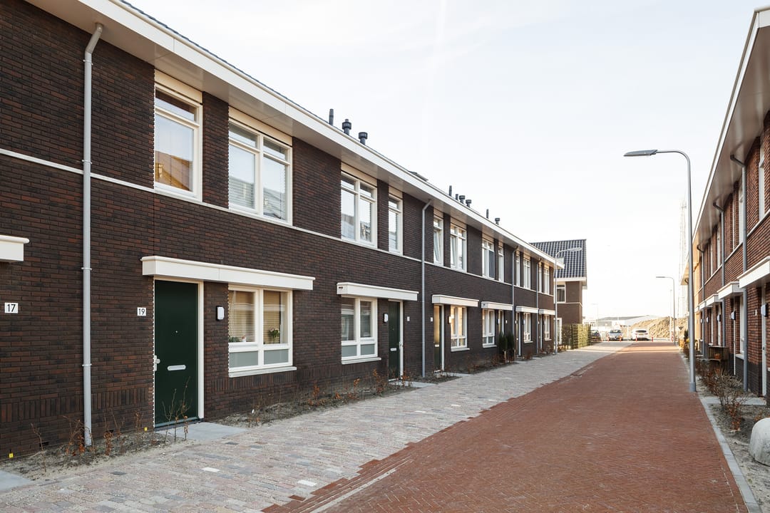 Photo 11 of Grote vos 13