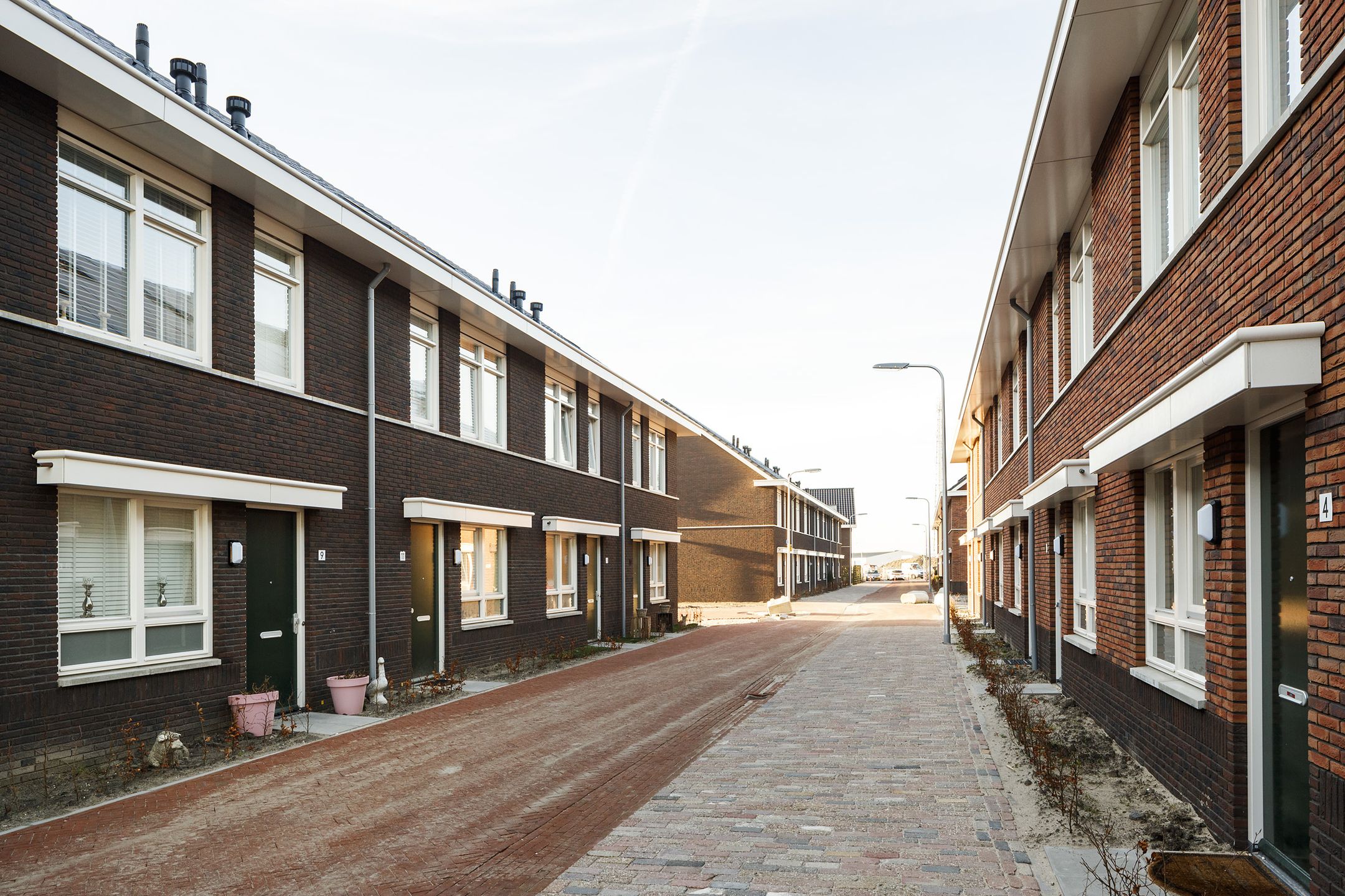 Photo 9 of Grote vos 13