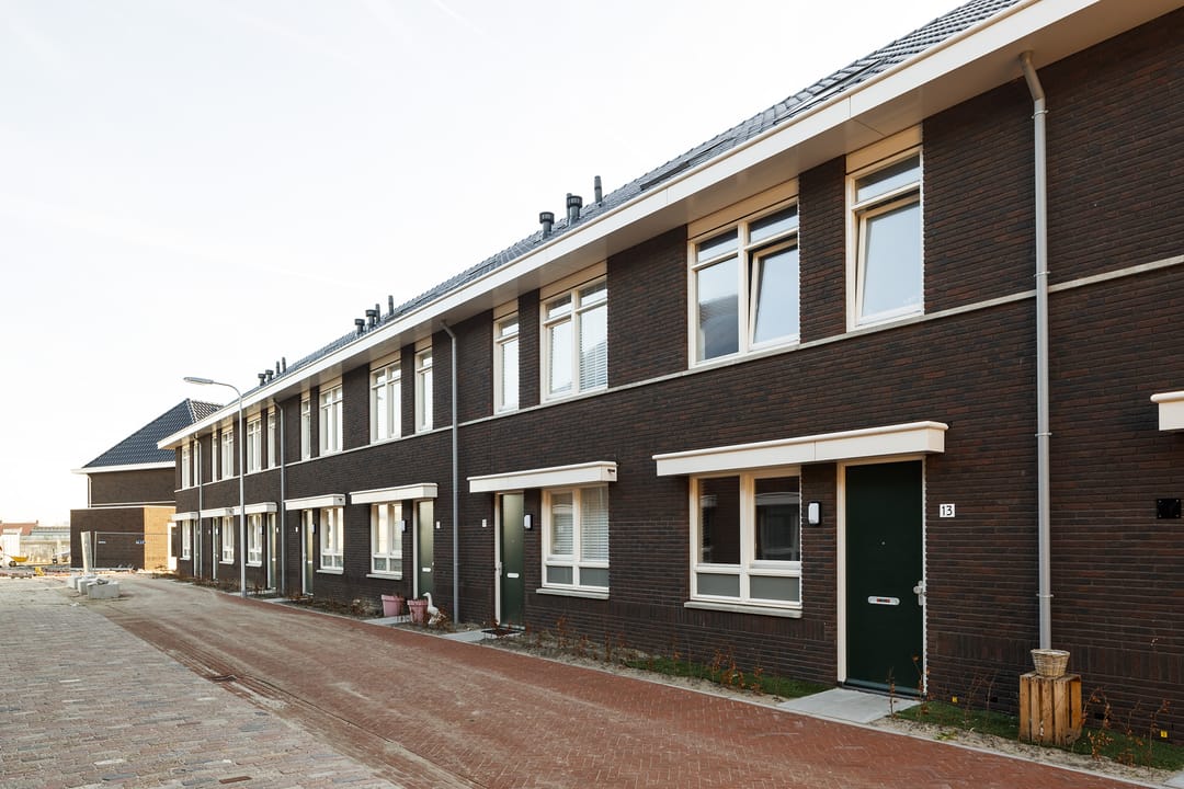 Photo 7 of Grote vos 13