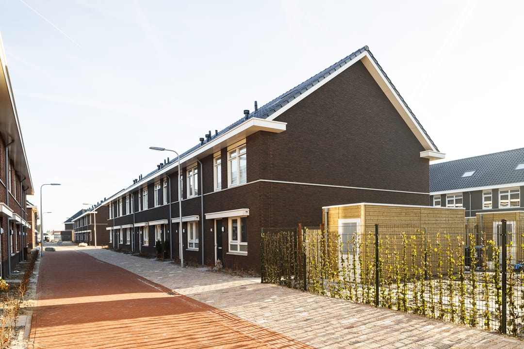 Photo 13 of Grote vos 13