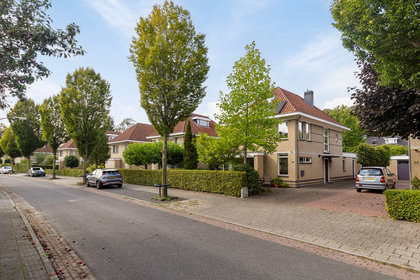 Foto 49 van Hoefslag 29