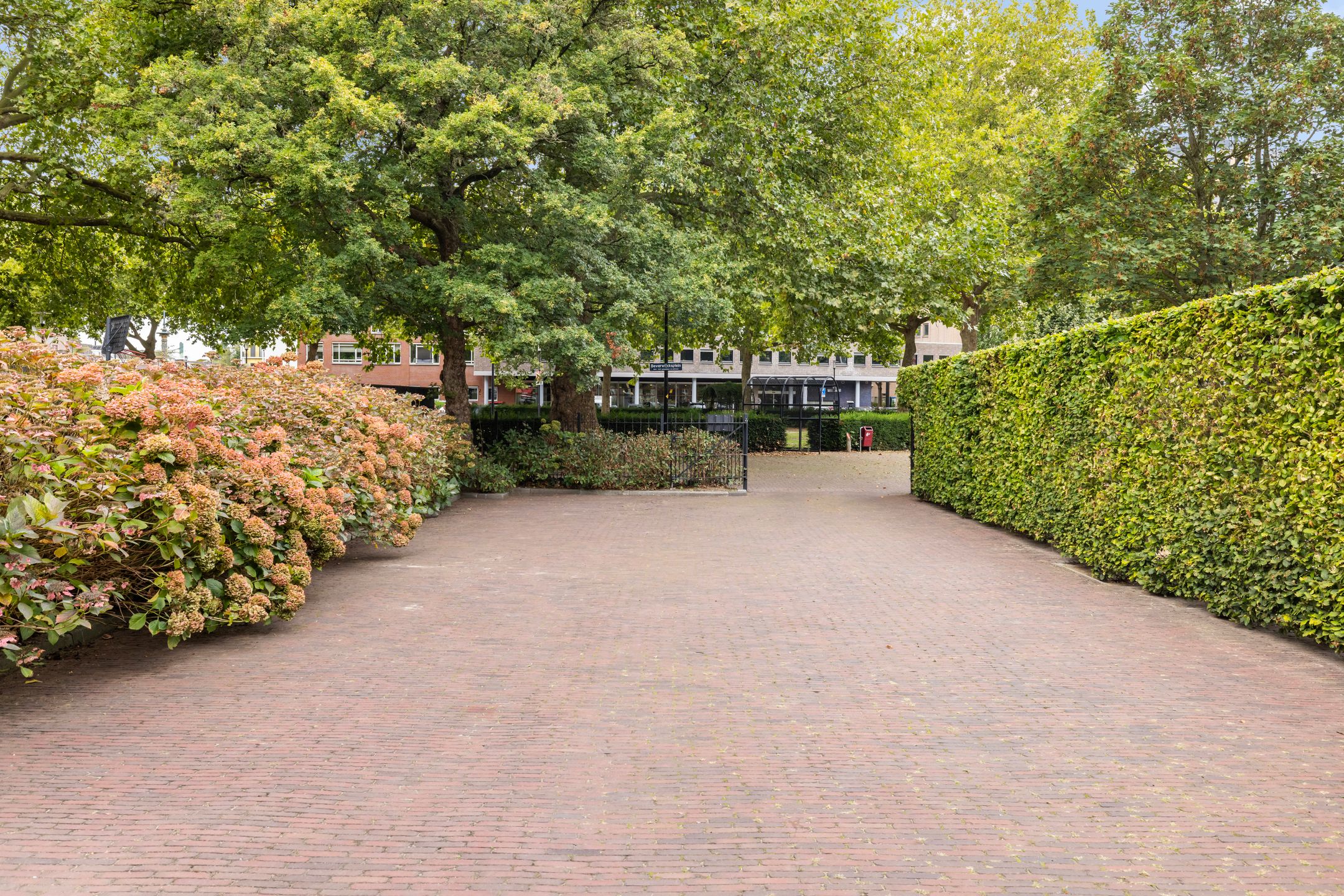 Photo 15 of Johan de Wittstraat 33