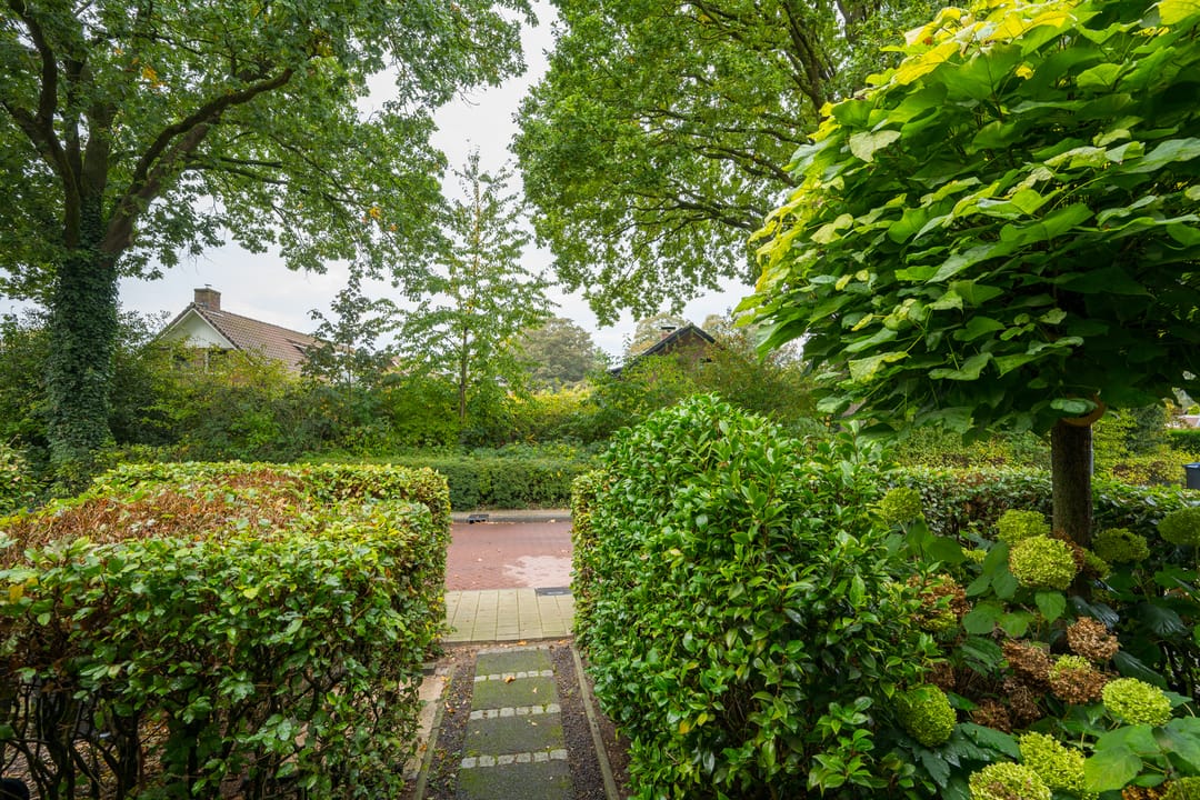 Photo 7 of Rozenstraat 17