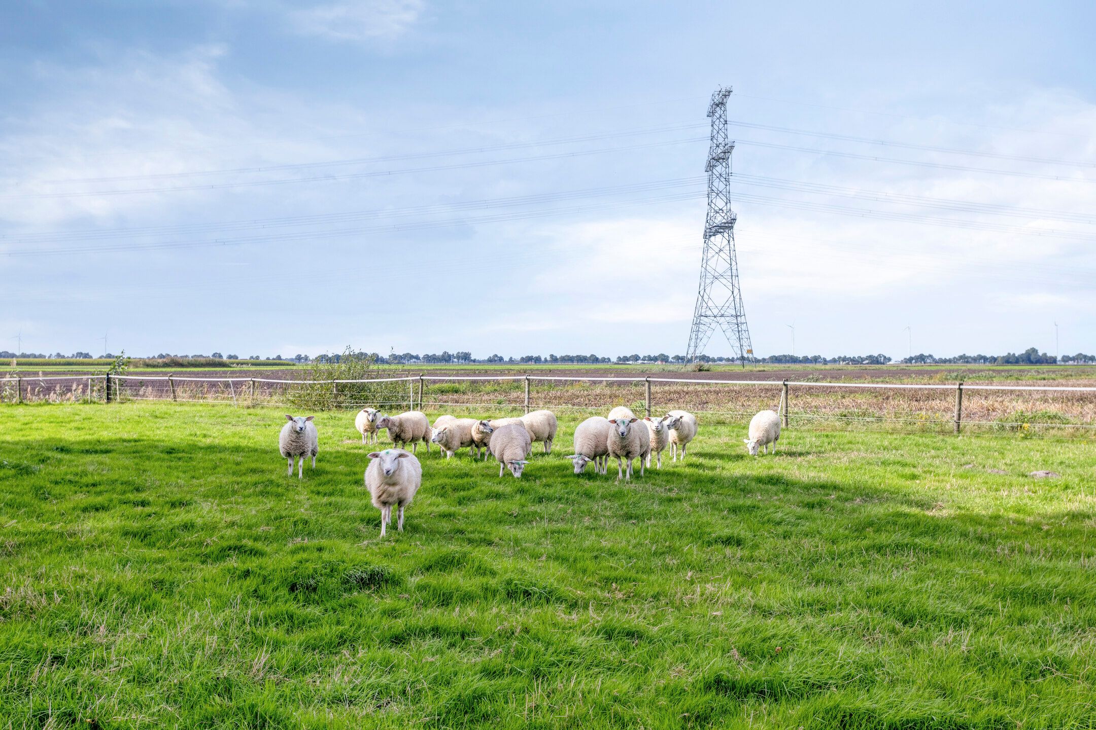 Foto 39 van Jan R. Stuutstraat F 29