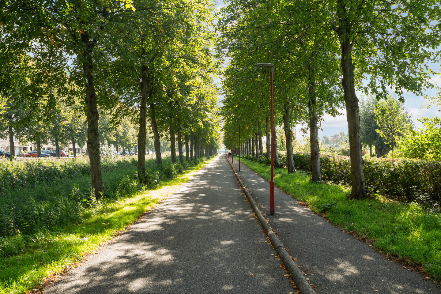 Photo 44 of Mosgroen 181
