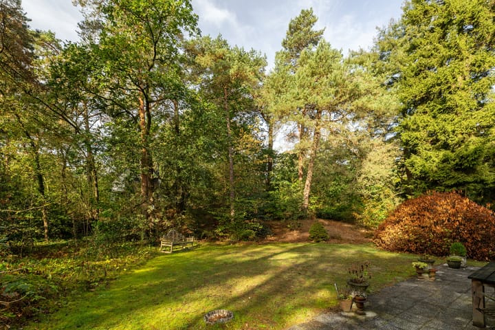 Foto 3 van Ericaweg 9-0050