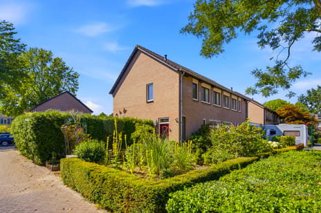 Pieter Molijnstraat thumbnail