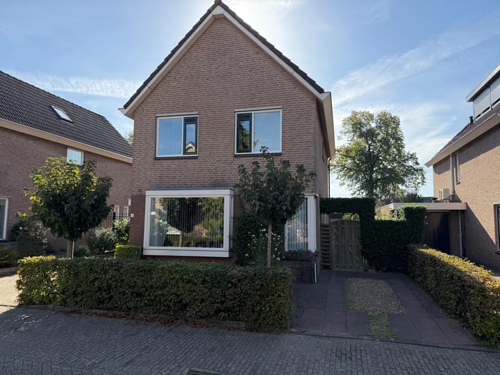 Foto 2 van de Timp 6