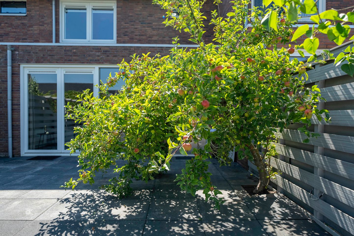 Foto 44 van Fanny Blankers-Koenlaan 398