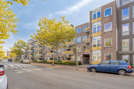 Zuidvliet thumbnail