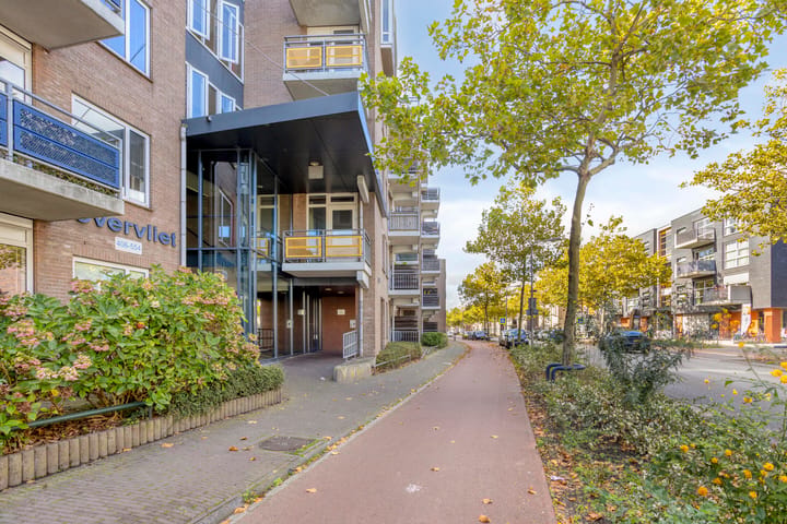 Foto 4 van Zuidvliet 406