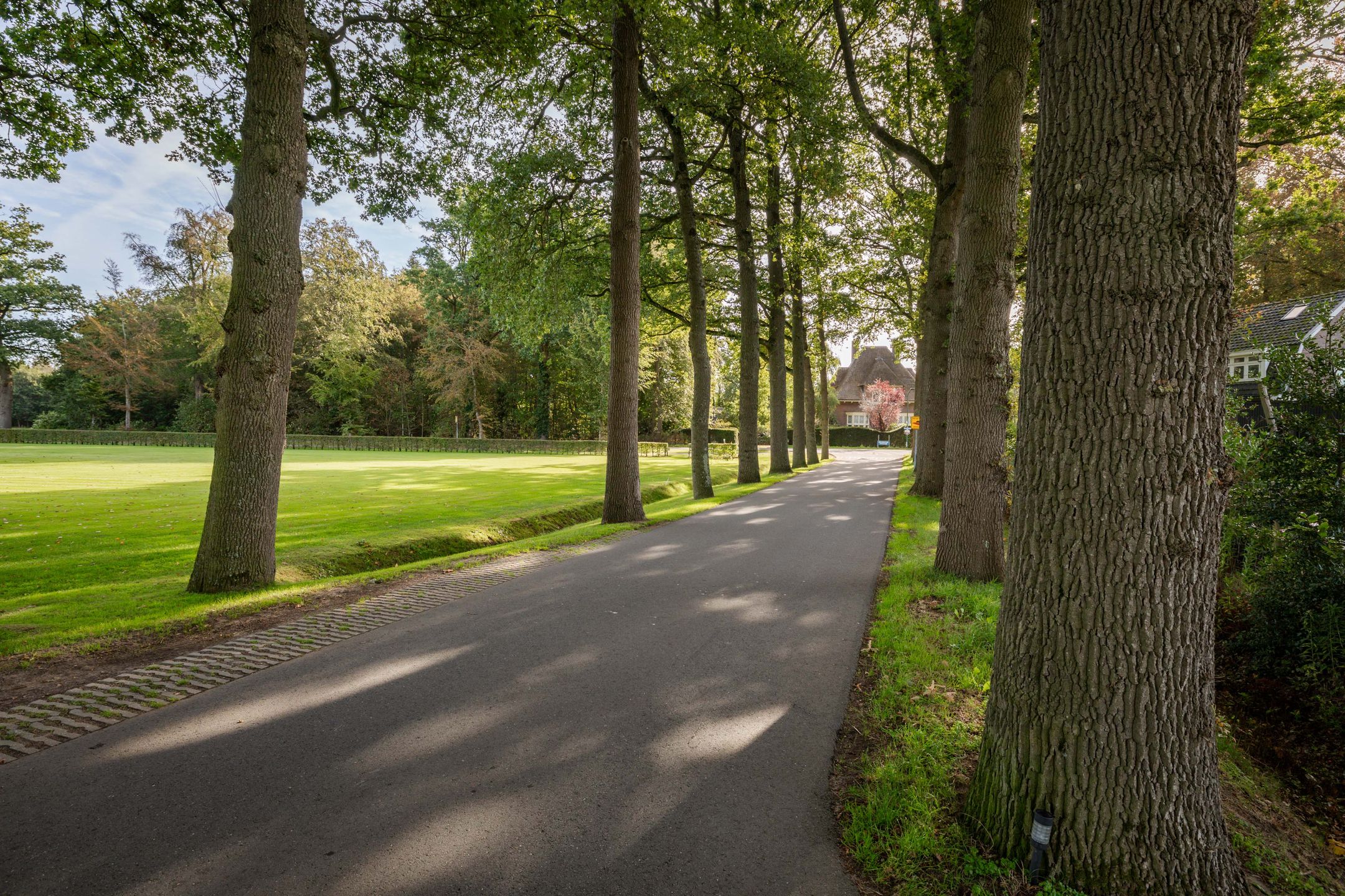 Photo 12 of Randerstraat